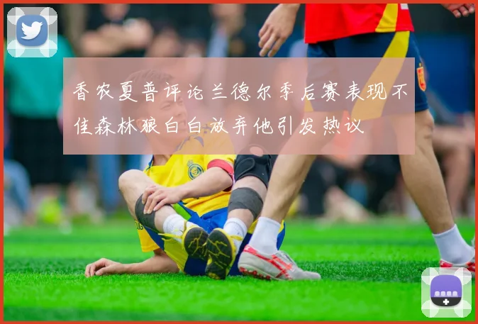 香农夏普评论兰德尔季后赛表现不佳森林狼白白放弃他引发热议